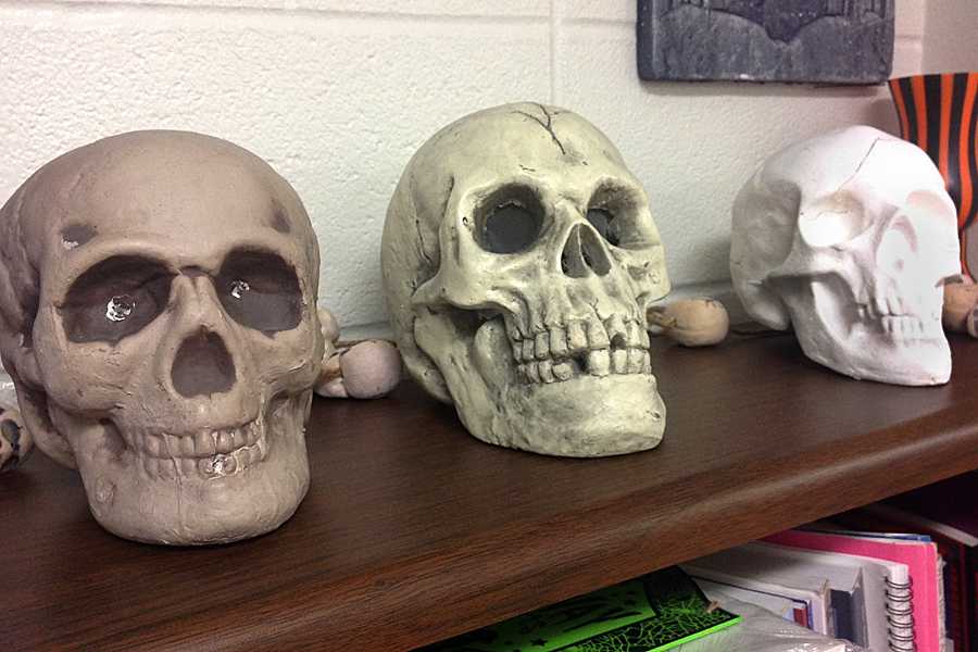Three skulls sit atop a bookshelf in Gonzalez classroom at Killough.