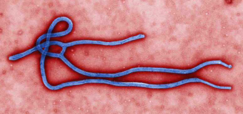 Top+5+common+Ebola+misconceptions+and+the+truth