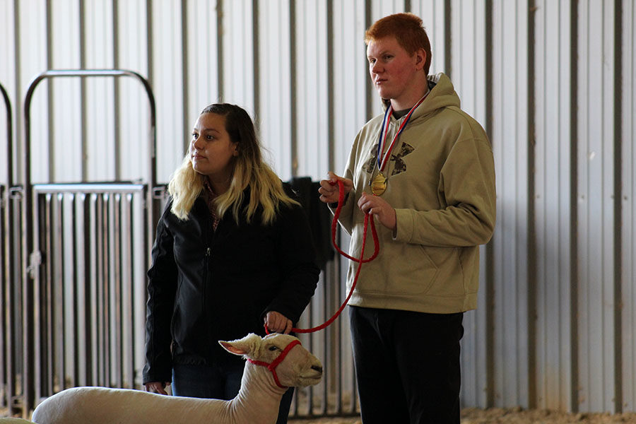 Marcus High School Circle of Friends member junior Ryan Turner receives a first-place award for showing a goat alongside his showing partner, Marcus FFA member senior Cassandra Soriano and her lamb, Barbra Ann.