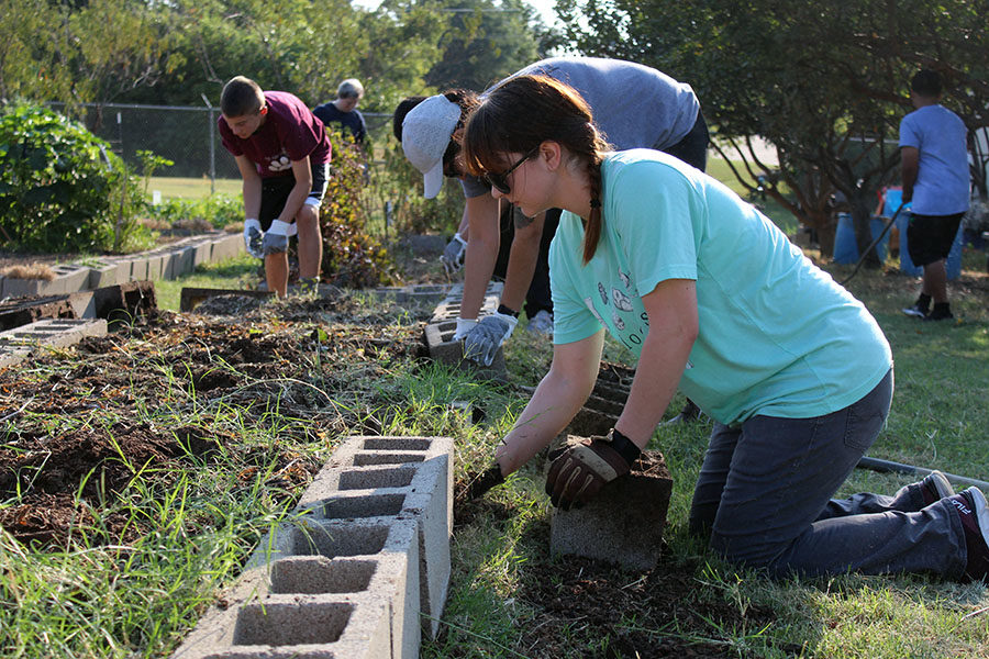 A volunteer removes the cement block to pull weeds out from the ground.