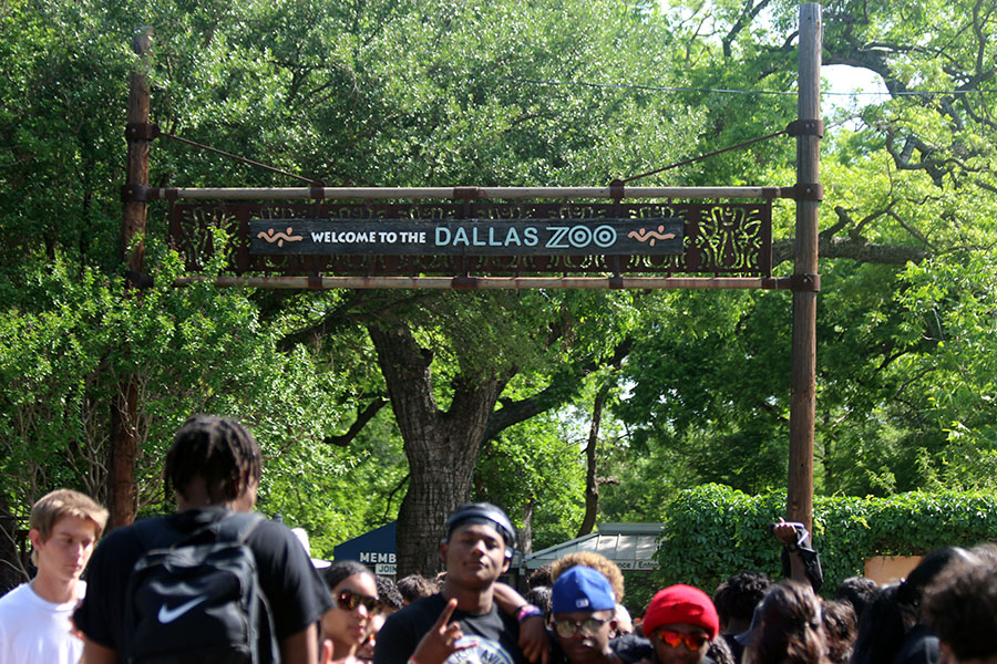 Teachers and students entered the Dallas Zoo which is home to over 2,000 animals representing 408 species.