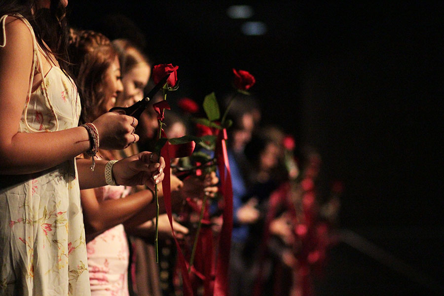 Senior student council officers were the first to cut their roses at the Rosecutting ceremony.