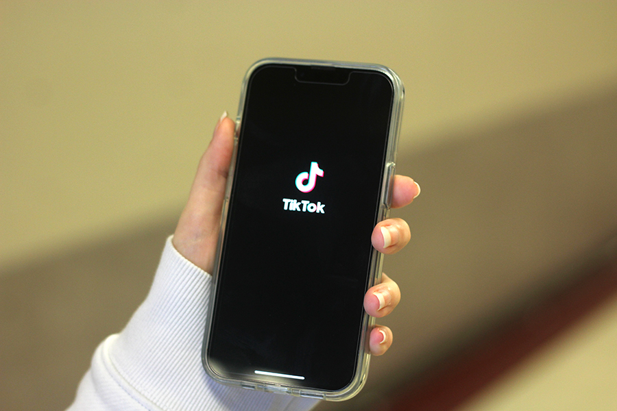 As there is no app similar to it, TikTok’s unique style gives users the freedom to post dances, edits, tips, trends, promotions, music and potential to inspire others. 