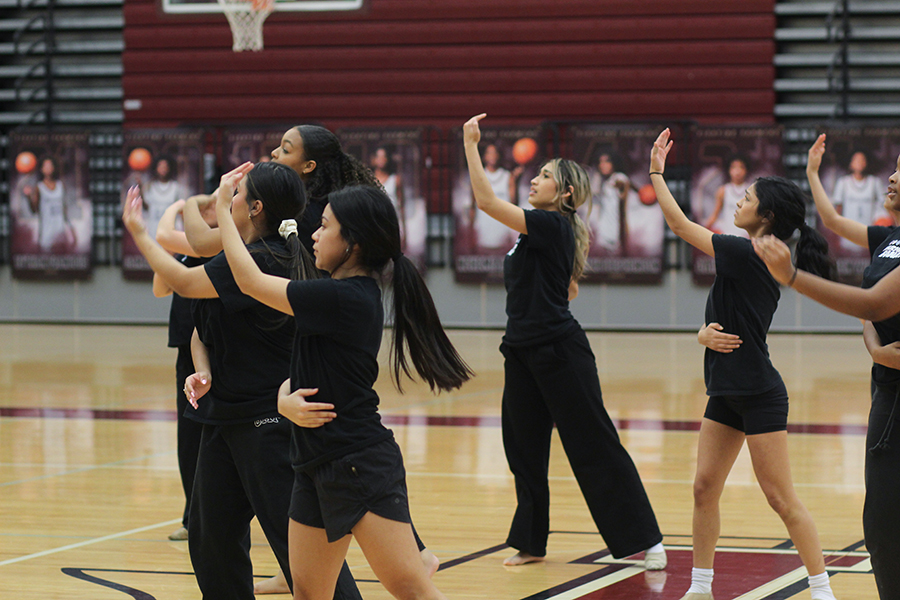 Farmerettes in the middle of elite contemporary. 